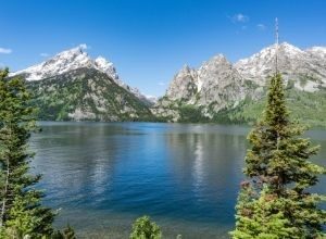 Jenny Lake