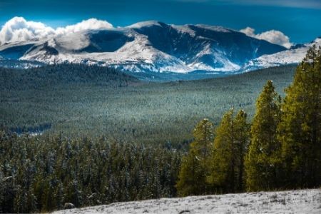 Wyoming National Forests