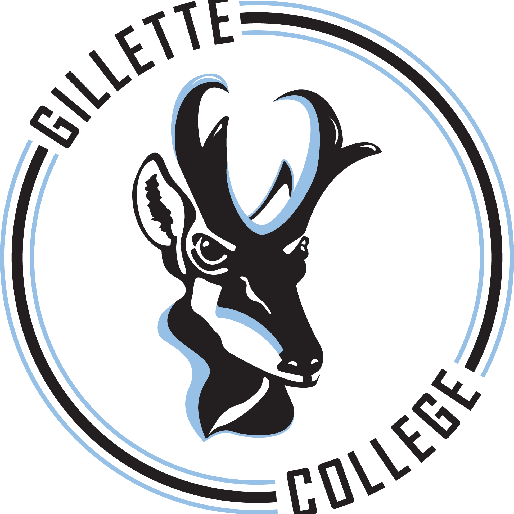 Committee drafting bill for new Gillette college SVI NEWS