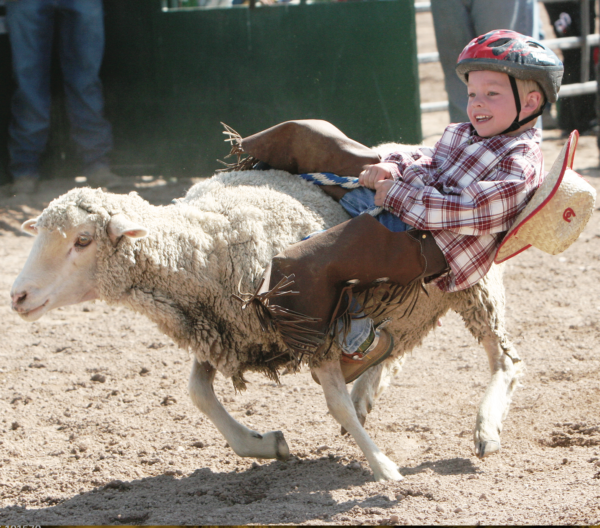 Junior Rodeo comes to Afton this weekend SVINEWS