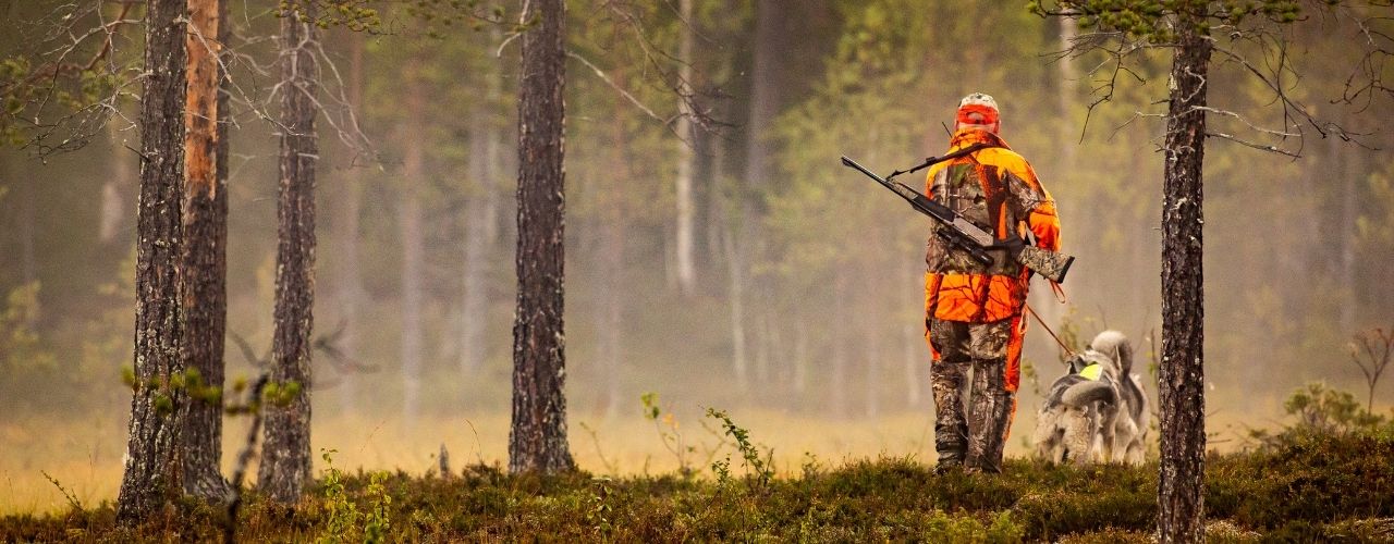 How Hunting Helps the Environment