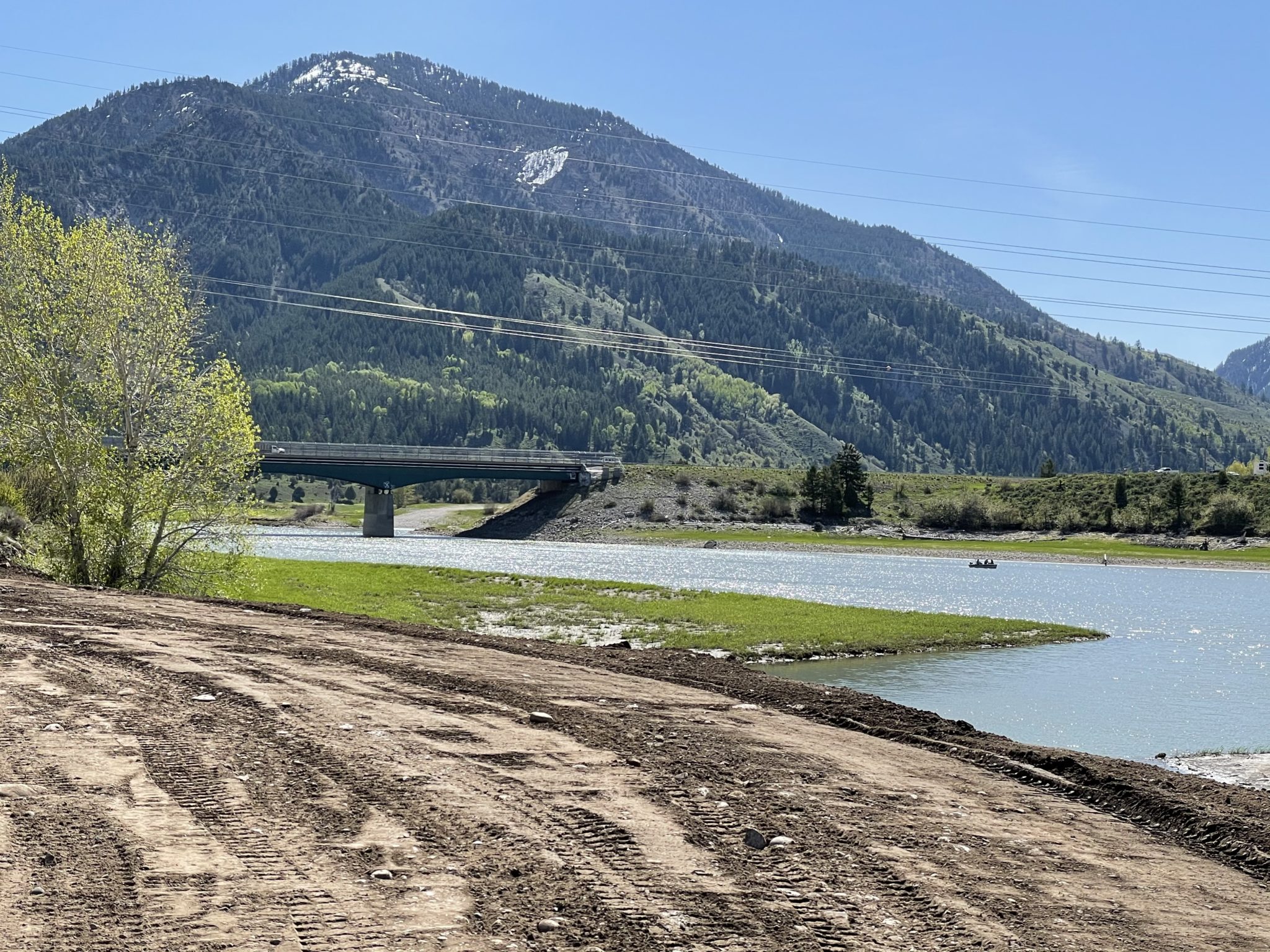 Alpine Wyoming SVINEWS