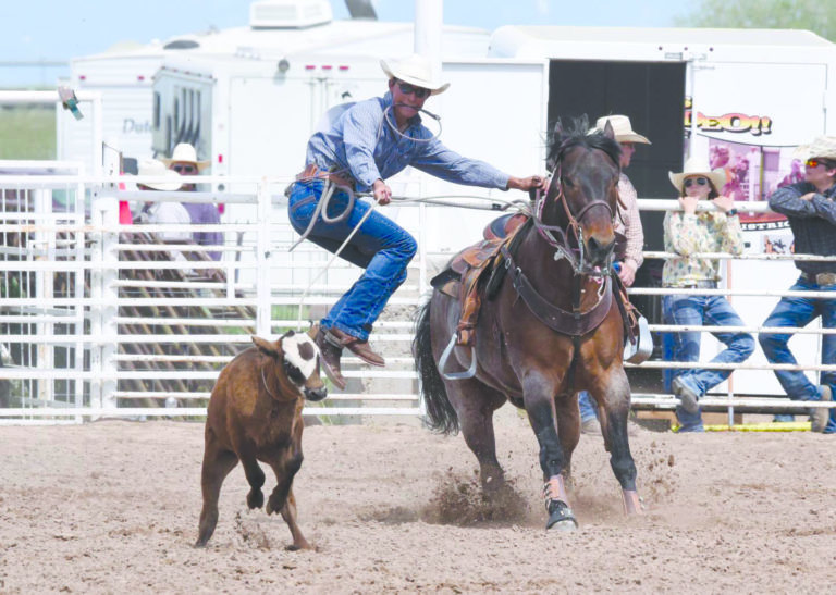 Area cowboys and cowgirls to compete in Idaho High School Finals SVINEWS