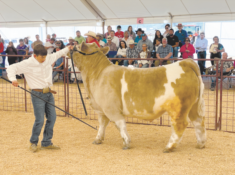 2021 Lincoln County Fair – ‘The Best Days of Summer’ – SVI-NEWS