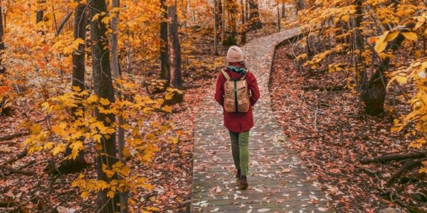 Wellness Trends That Are Gaining Popularity This Fall