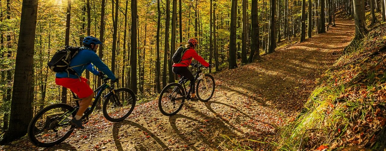 Why Autumn Is the Best Season for Mountain Biking