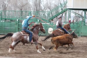 Afton brothers Kortlen and Tristen Hilton took second in the team roping event.