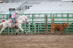 Cokeville's Cinch Pope circles his rope during the Junior High division of the breakaway roping.