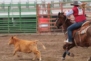 Payzli Nield of Afton chases her calf during the breakaway roping event.