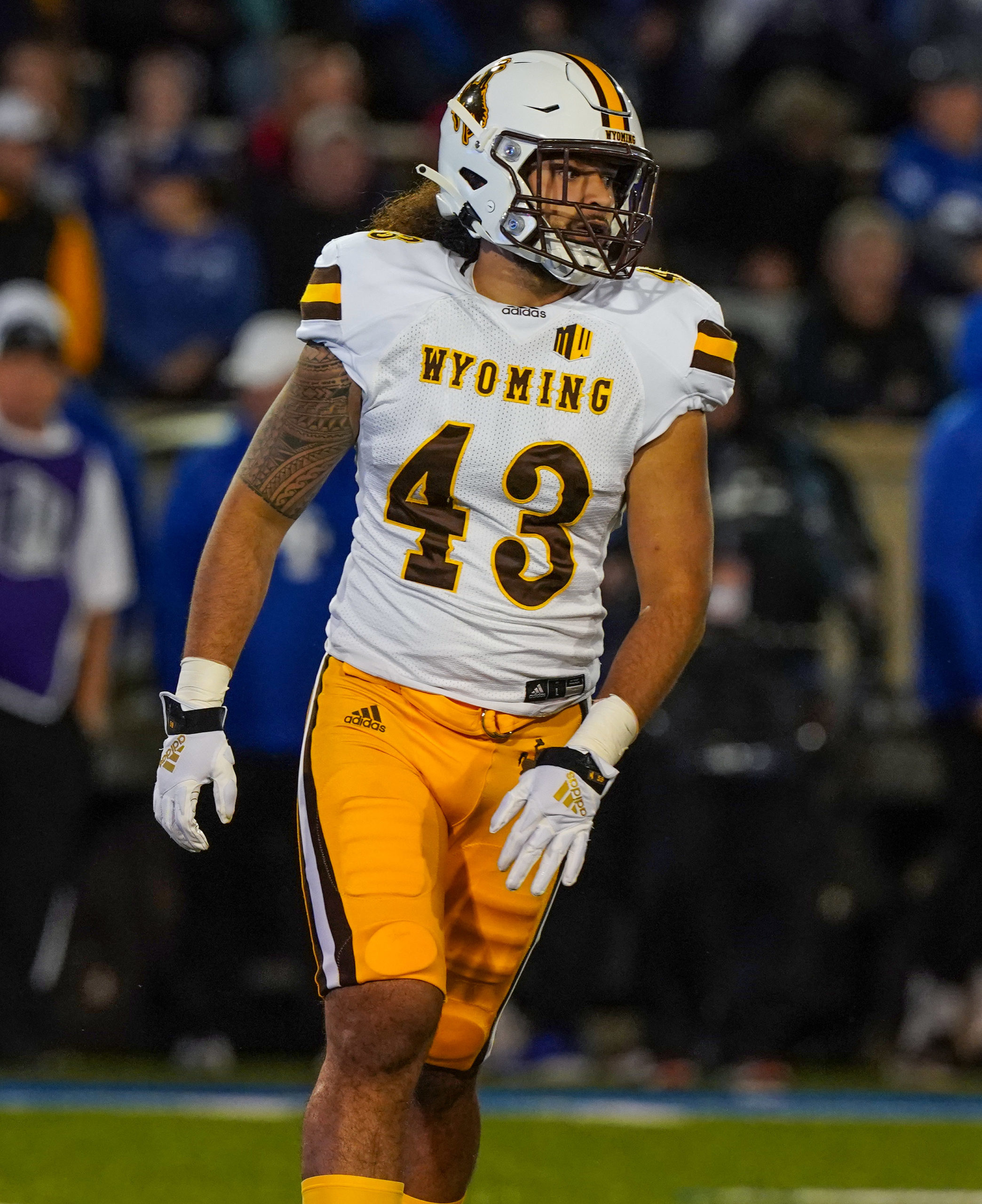 John Hoyland Selected Mountain West Special Teams Player of the Week -  University of Wyoming Athletics