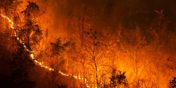 Things To Know About How Wildfires Start