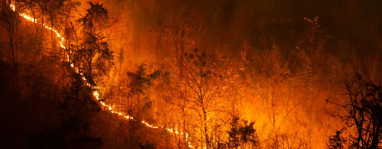 Things To Know About How Wildfires Start