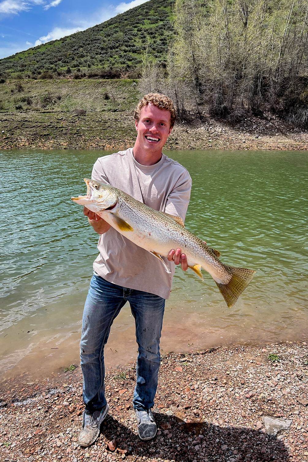 Monster Brown Trout from the Clinch River