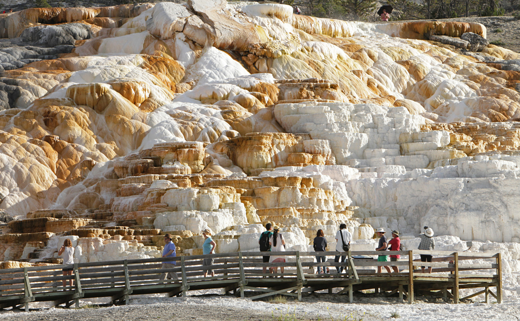 Yellowstone National Park’s Mammoth Hot Springs Hotel to open July 1 ...