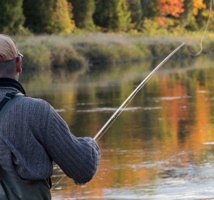 What Are the Perks of Fishing in the Fall?