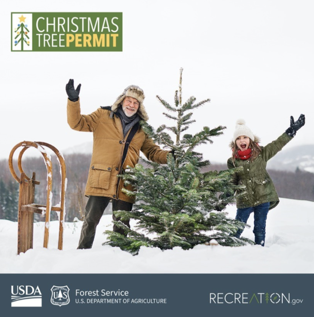 Christmas Tree Permits Are Available for Purchase SVINEWS