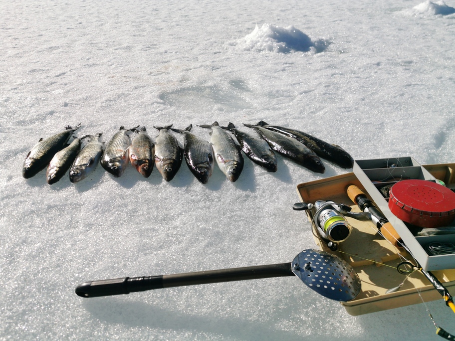 SVI Radio Interview-Feb. 9: Brad Wilford, Kemmerer Lions Club Ice Fishing  Derby – SVI-NEWS