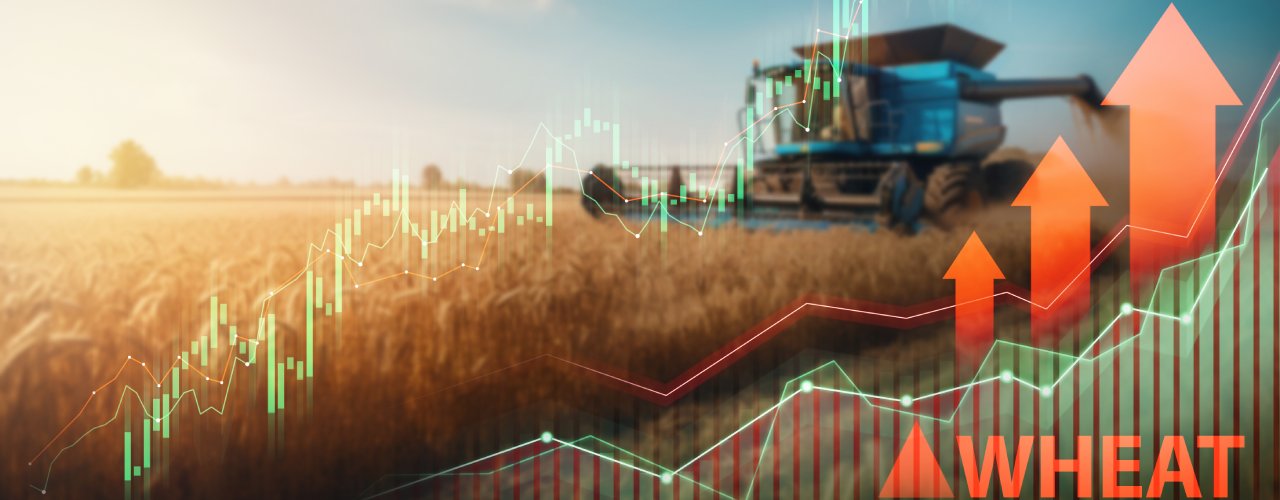 Harvesting machinery in a golden wheat field with an overlay of stock market growth charts and arrows