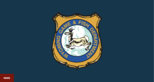 Men plead not guilty to abusing moose