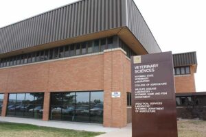 University of Wyoming enrollment down this semester