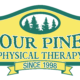 Physical Therapist