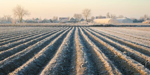 Tilled farmland covered with a thin layer of frost. A farmhouse, two white barns, and bare trees are in the distance.