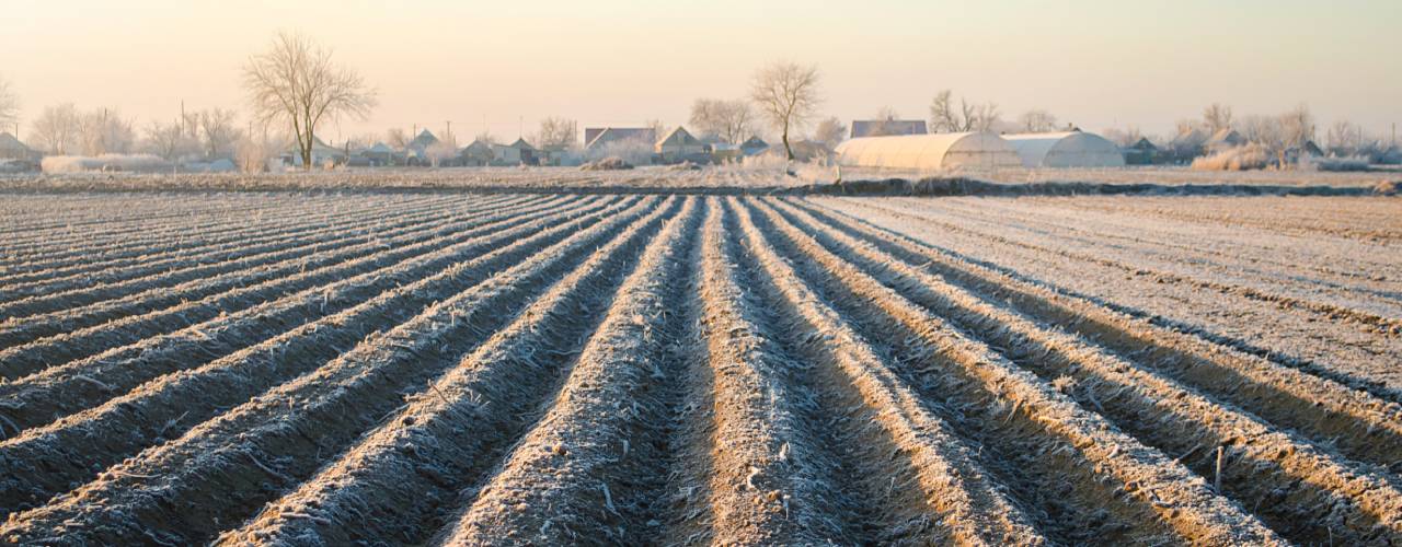 Tilled farmland covered with a thin layer of frost. A farmhouse, two white barns, and bare trees are in the distance.