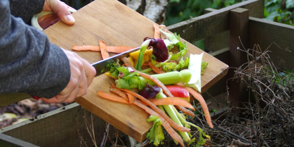 A homeowner adding kitchen scraps to a raised garden bed full of compost. The compost is dark brown and twiggy.