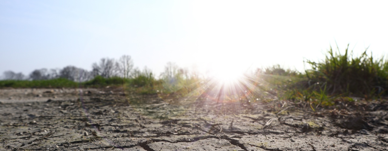 A close-up of the dry, cracked dirt in a field with sparse grass and the sun shining down strongly.