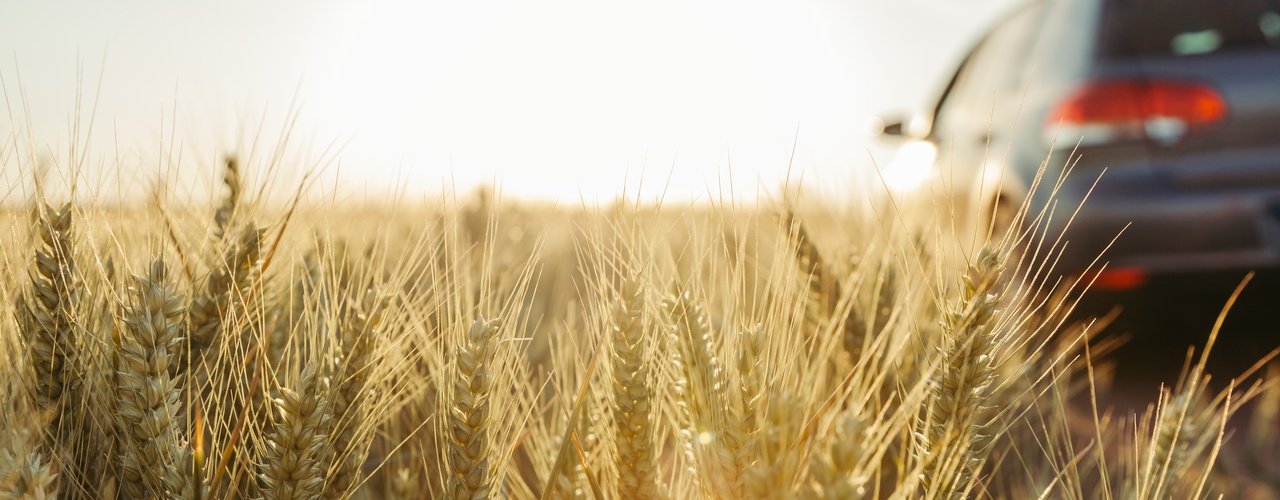 A van in the middle of a field of wheat facing towards the sun as it sets on the horizon and emits bright rays.