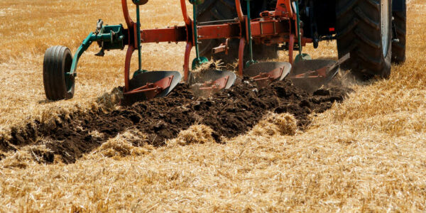 A blue farm tractor working in the grain field with a red plow attachment. There's a second tractor in the distance.