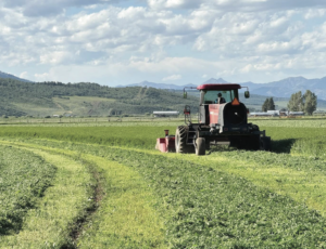 Near record high cost of diesel hits farmers at harvest; new orders offer partial relief