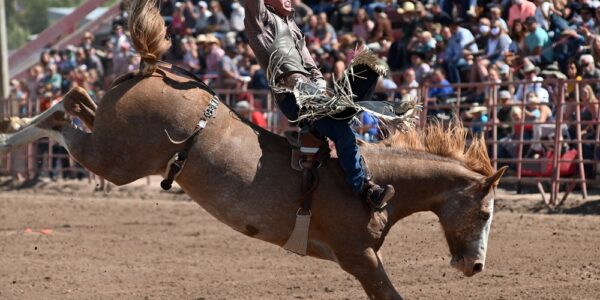 A cowboy riding bareback on a bucking horse with one hand in the air. He is in a dirt arena with people watching from the stands.