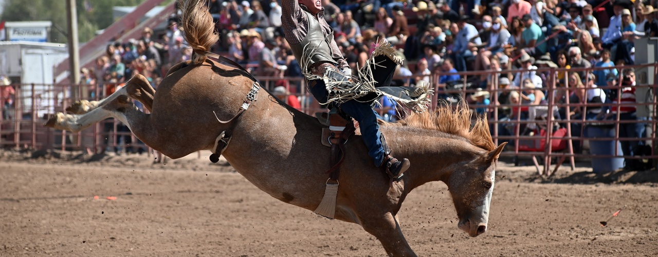 A cowboy riding bareback on a bucking horse with one hand in the air. He is in a dirt arena with people watching from the stands.