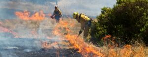 Two wildland firefighters wearing bright yellow protective gear while fighting a wildfire on open land.