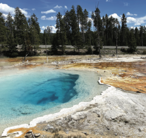 Texas man faces jail time for walking on thermal features near Yellowstone's Mammoth Hot Springs