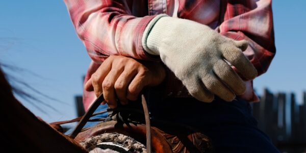 A rancher wearing a flannel on the back of a horse wearing one roping glove and holding the harness in the other hand.