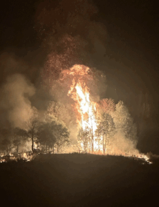 Wildfire protection certificate expands to Wyoming homeowners