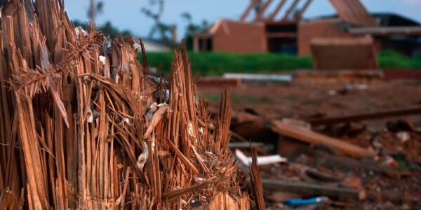 A close-up shows a tree stump with an uneven, pointy surface. A bare house frame and dispersed debris are in the distance.