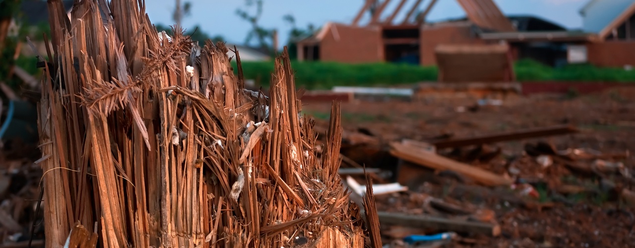 A close-up shows a tree stump with an uneven, pointy surface. A bare house frame and dispersed debris are in the distance.