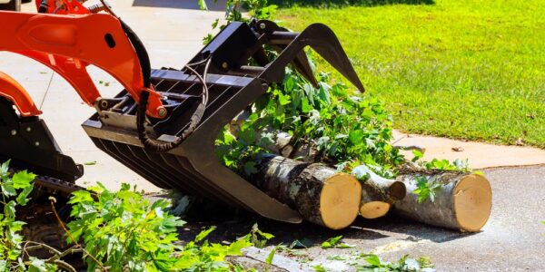 An orange compact track loader with a grapple moves cut tree logs and branches on a driveway near a house with a green lawn.