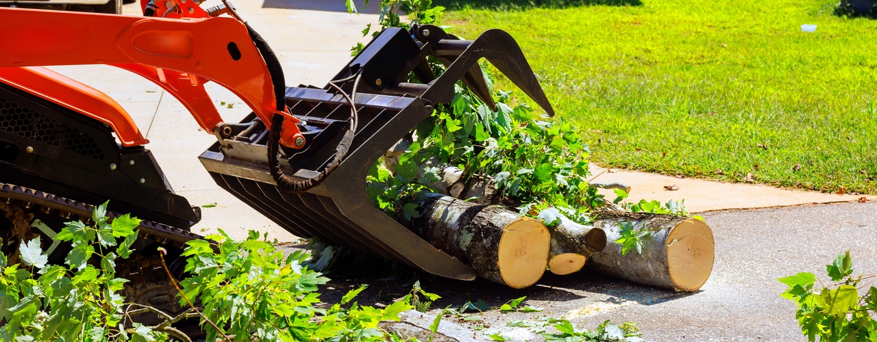 An orange compact track loader with a grapple moves cut tree logs and branches on a driveway near a house with a green lawn.