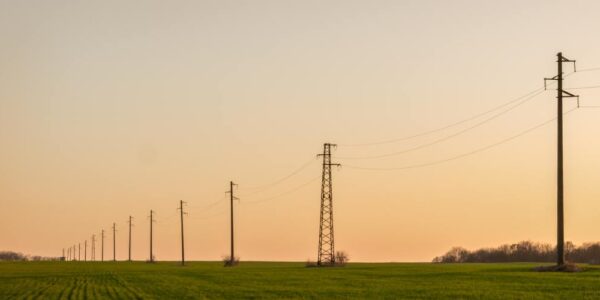 A line of electric poles running across an open field with green grass. The sun is setting behind the poles.