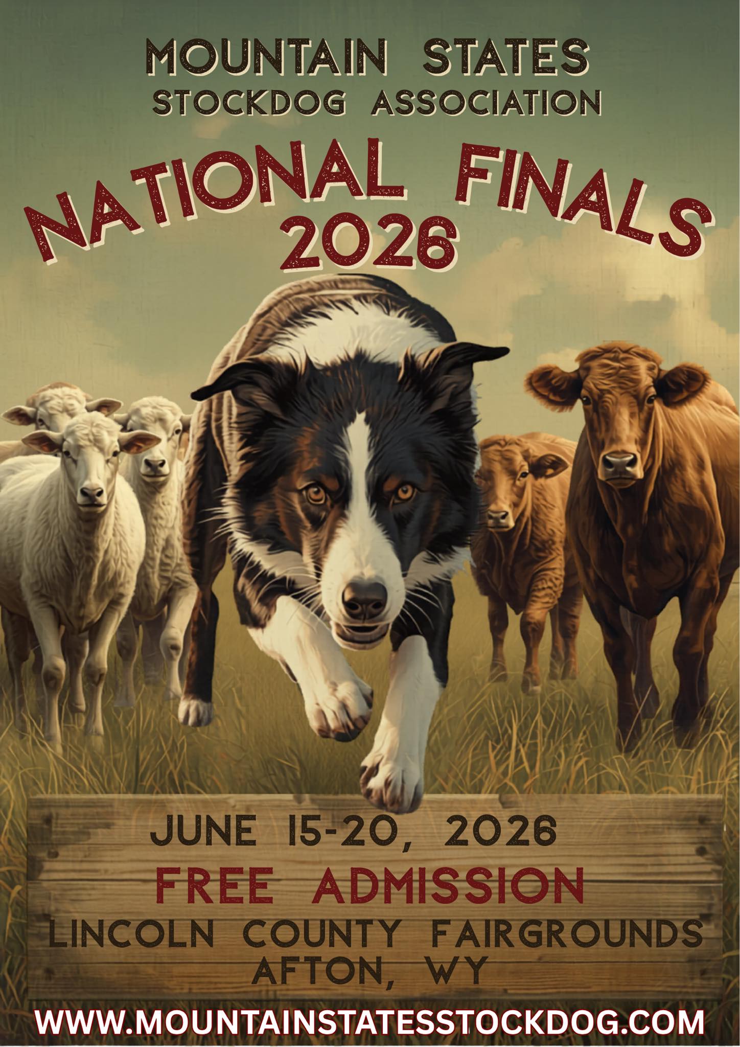 Afton: Mountain States Stockdog Association National Finals