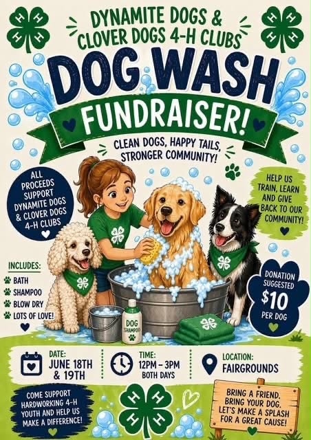Afton: Dynamite Dogs and Clover Dogs 4H Dog Wash Fundraiser