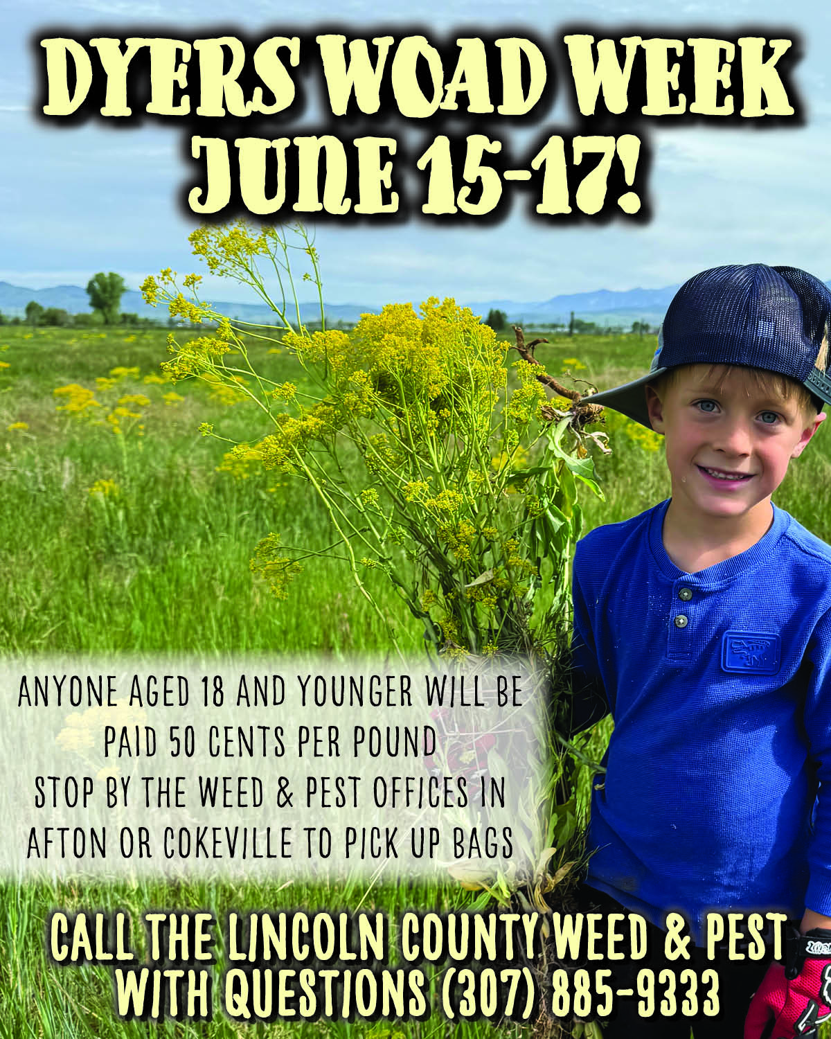 Star Valley: Dyers Woad Week