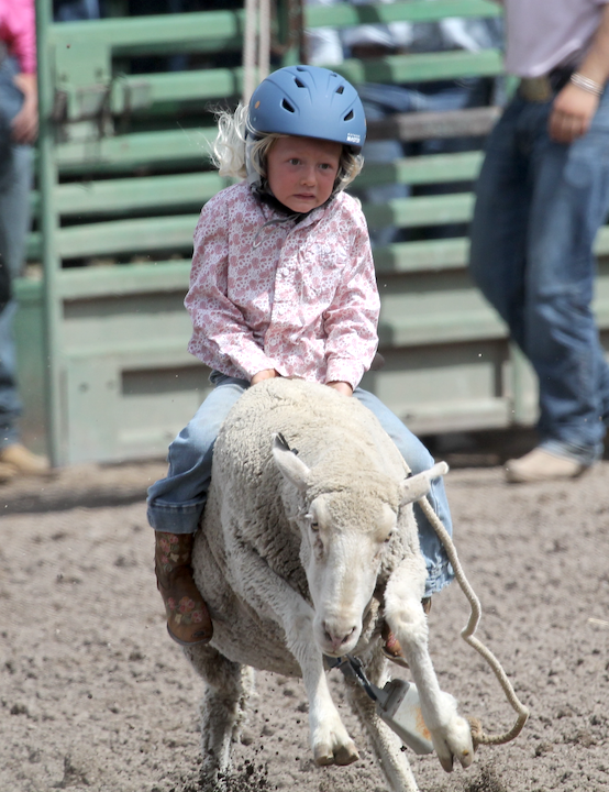 (PHOTO GALLERY) – Afton Junior Rodeo