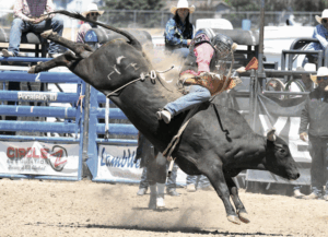 Teichert qualifies for NHSFR
