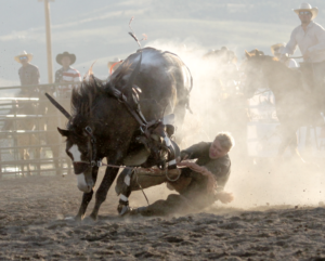 Crystal Springs Cattle wins 2026 Ranch Rodeo