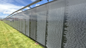 (Video) - The Wall That Heals opening ceremony